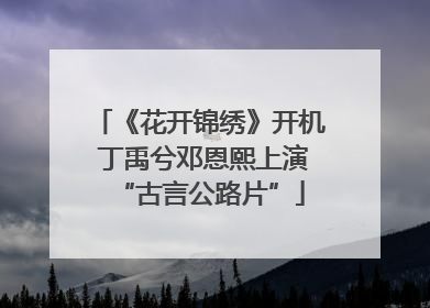 《花开锦绣》开机 丁禹兮邓恩熙上演“古言公路片”