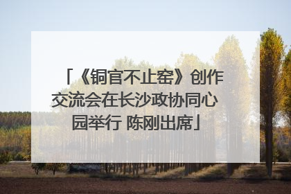 《铜官不止窑》创作交流会在长沙政协同心园举行 陈刚出席
