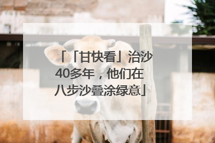 「甘快看」治沙40多年，他们在八步沙叠涂绿意