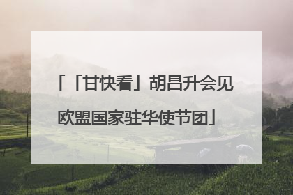「甘快看」胡昌升会见欧盟国家驻华使节团