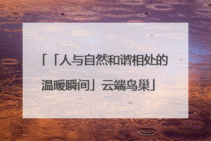 「人与自然和谐相处的温暖瞬间」云端鸟巢