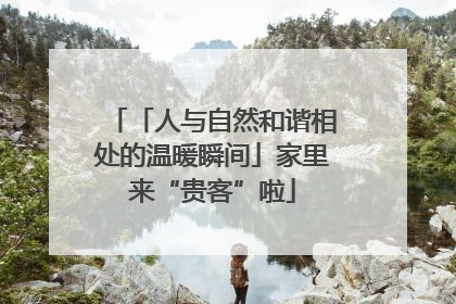 「人与自然和谐相处的温暖瞬间」家里来“贵客”啦