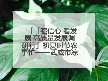 「强信心 看发展·高质量发展调研行」初夏时节农事忙——武威市凉州区推进高标准农田建设见闻