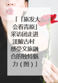 「旅发大会看青原」采访团走进渼陂古村 感受文旅融合的独特魅力（图）