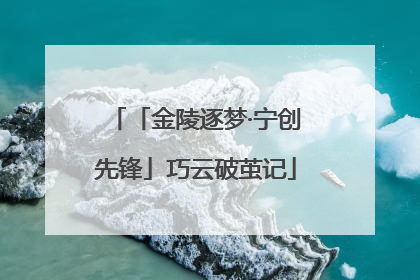 「金陵逐梦·宁创先锋」巧云破茧记