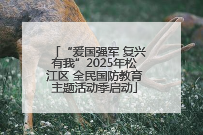 “爱国强军 复兴有我”2025年松江区 全民国防教育主题活动季启动
