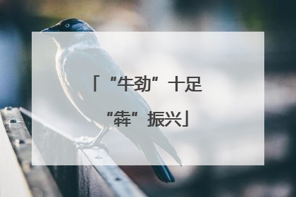 “牛劲”十足“犇”振兴