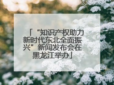 “知识产权助力新时代东北全面振兴”新闻发布会在黑龙江举办
