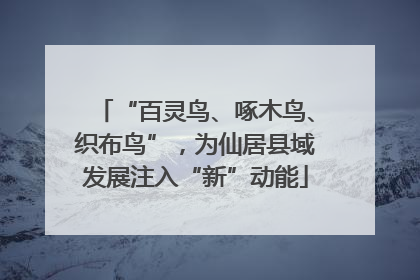 “百灵鸟、啄木鸟、织布鸟”，为仙居县域发展注入“新”动能