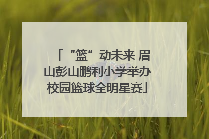 “篮”动未来 眉山彭山鹏利小学举办校园篮球全明星赛