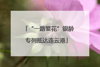 “一路繁花”银龄专列抵达连云港