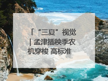 “三夏”视觉｜孟津插秧季农机穿梭 高标准农田披绿装