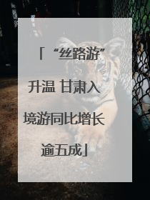 “丝路游”升温 甘肃入境游同比增长逾五成