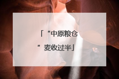 “中原粮仓”麦收过半