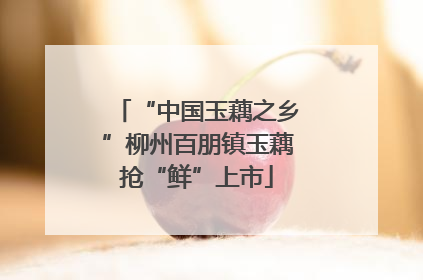 “中国玉藕之乡”柳州百朋镇玉藕抢“鲜”上市