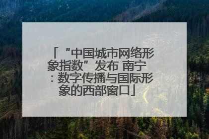 “中国城市网络形象指数”发布 南宁：数字传播与国际形象的西部窗口