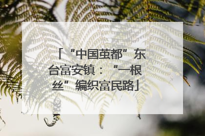 “中国茧都”东台富安镇：“一根丝”编织富民路