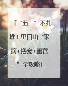 “五一”不扎堆！里口山“采摘+撸宠+露营”全攻略