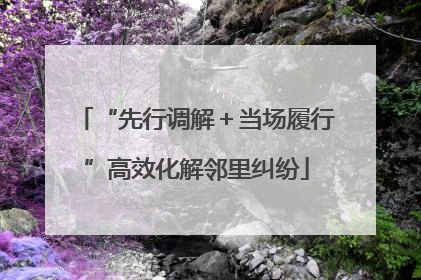 “先行调解＋当场履行”高效化解邻里纠纷