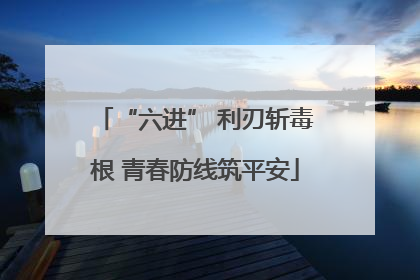 “六进” 利刃斩毒根 青春防线筑平安
