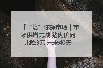 “培”你探市场｜市场供增需减 猪肉价同比降3元 未来40天便宜猪肉敞开吃