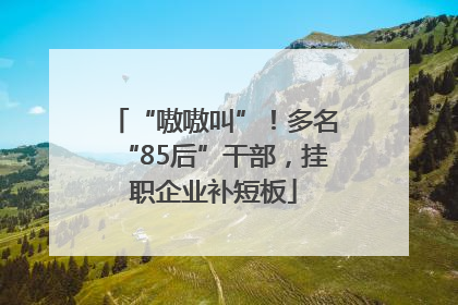 “嗷嗷叫”！多名“85后”干部，挂职企业补短板