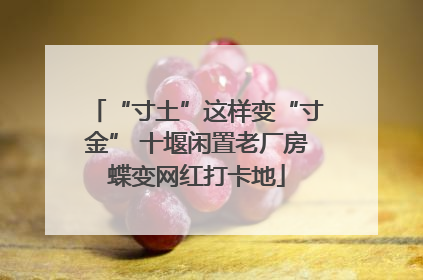 “寸土”这样变“寸金” 十堰闲置老厂房蝶变网红打卡地