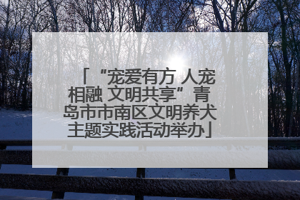 “宠爱有方 人宠相融 文明共享”青岛市市南区文明养犬主题实践活动举办