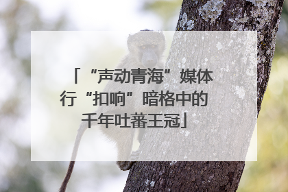 “声动青海”媒体行“扣响”暗格中的千年吐蕃王冠