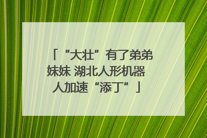 “大壮”有了弟弟妹妹 湖北人形机器人加速“添丁”