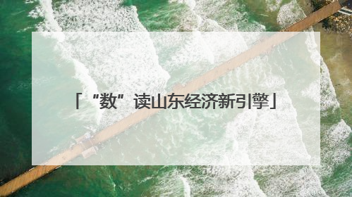 “数”读山东经济新引擎