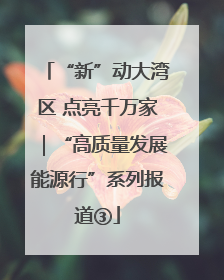 “新”动大湾区 点亮千万家｜“高质量发展能源行”系列报道③