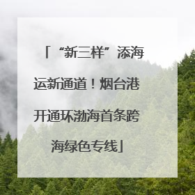 “新三样”添海运新通道！烟台港开通环渤海首条跨海绿色专线