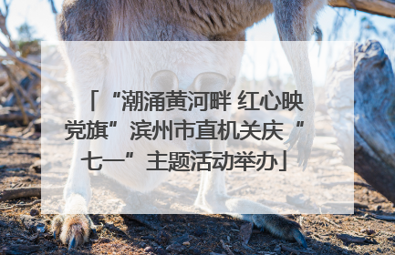 “潮涌黄河畔 红心映党旗”滨州市直机关庆“七一”主题活动举办