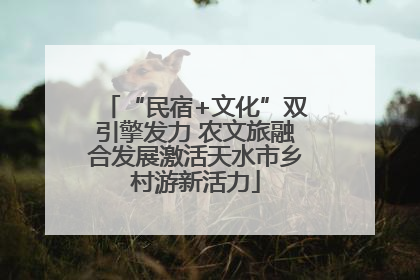 “民宿+文化”双引擎发力 农文旅融合发展激活天水市乡村游新活力