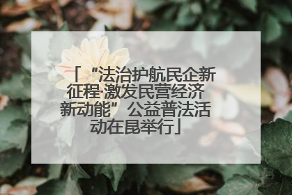 “法治护航民企新征程·激发民营经济新动能”公益普法活动在昆举行