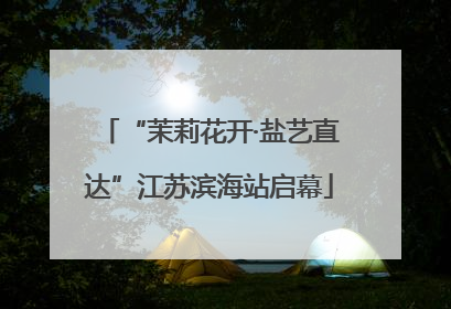 “茉莉花开·盐艺直达”江苏滨海站启幕