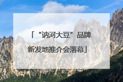 “讷河大豆”品牌新发地推介会落幕