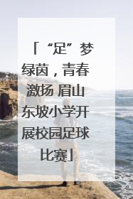 “足”梦绿茵，青春激扬 眉山东坡小学开展校园足球比赛