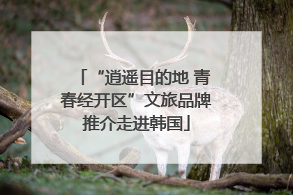 “逍遥目的地 青春经开区”文旅品牌推介走进韩国