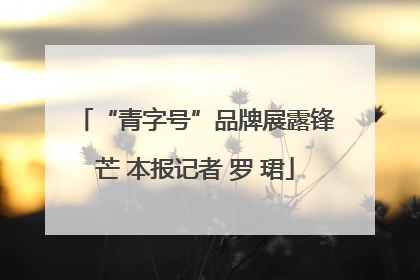 “青字号”品牌展露锋芒 本报记者 罗 珺