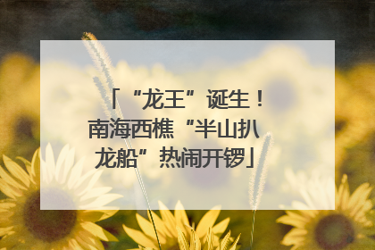 “龙王”诞生！南海西樵“半山扒龙船”热闹开锣