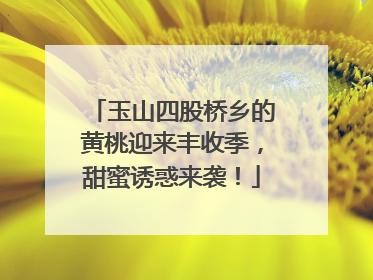 玉山四股桥乡的黄桃迎来丰收季，甜蜜诱惑来袭！