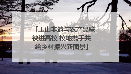 玉山非遗与农产品联袂进高校 校地携手共绘乡村振兴新图景