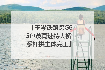 玉岑铁路跨G65包茂高速特大桥系杆拱主体完工