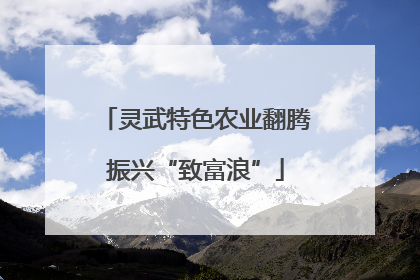 灵武特色农业翻腾振兴“致富浪”