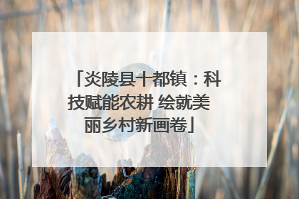炎陵县十都镇：科技赋能农耕 绘就美丽乡村新画卷