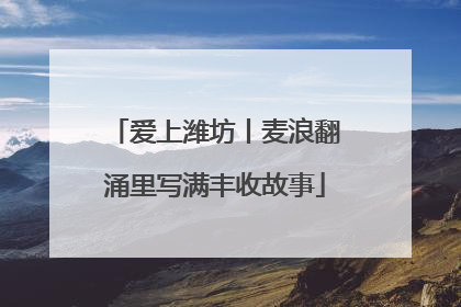 爱上潍坊丨麦浪翻涌里写满丰收故事