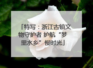 特写：浙江古镇文物守护者 护航“梦里水乡”慢时光