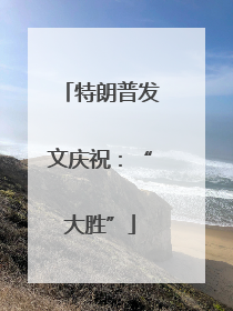 特朗普发文庆祝：“大胜”